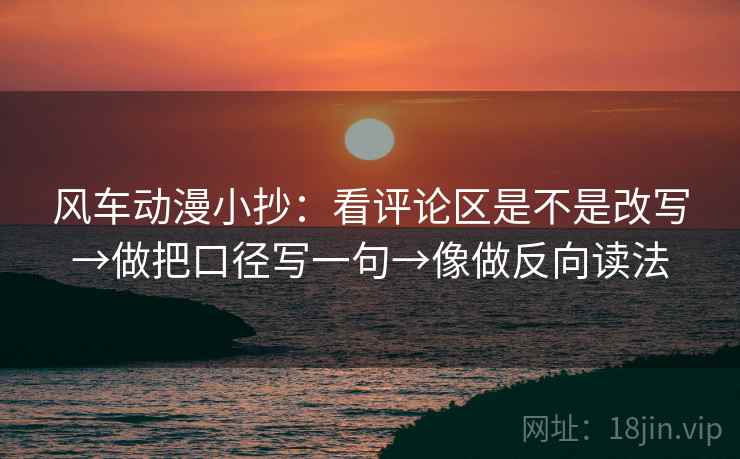 风车动漫小抄：看评论区是不是改写→做把口径写一句→像做反向读法  第2张